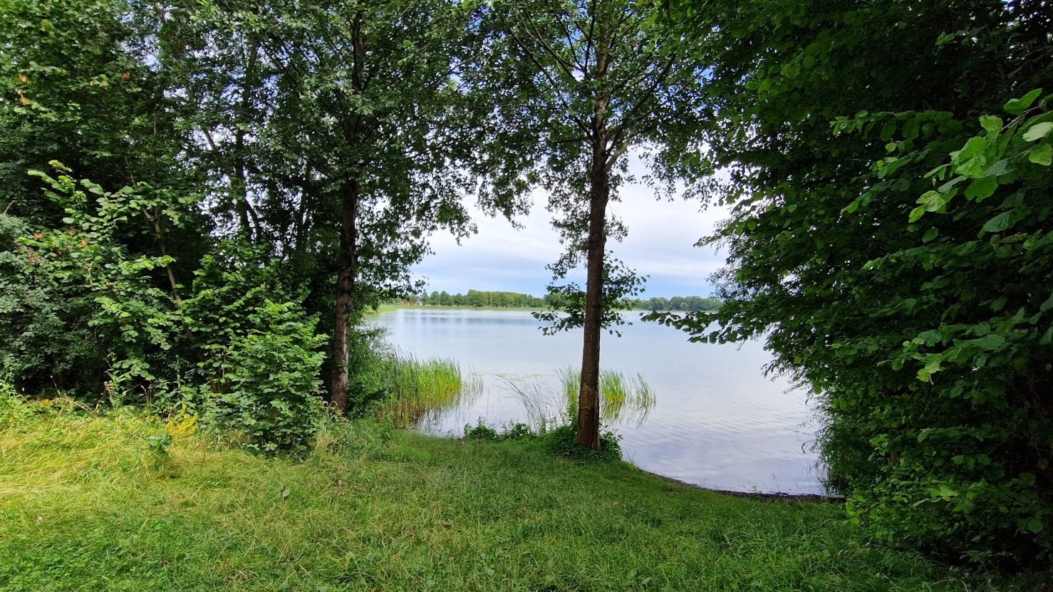 Zdjęcie 2